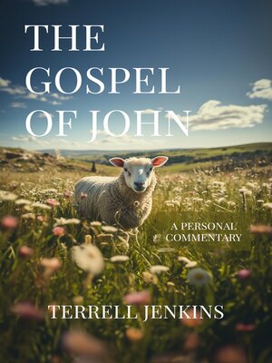 cover image of The Gospel of John